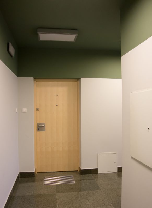 Apartment Door Repair