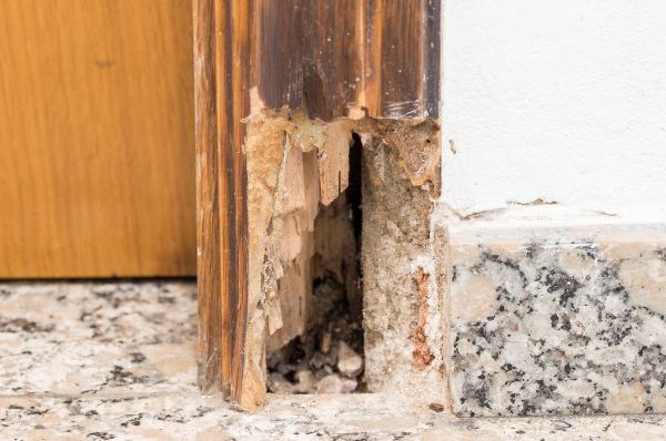 Rotting Door Repair in Burlington