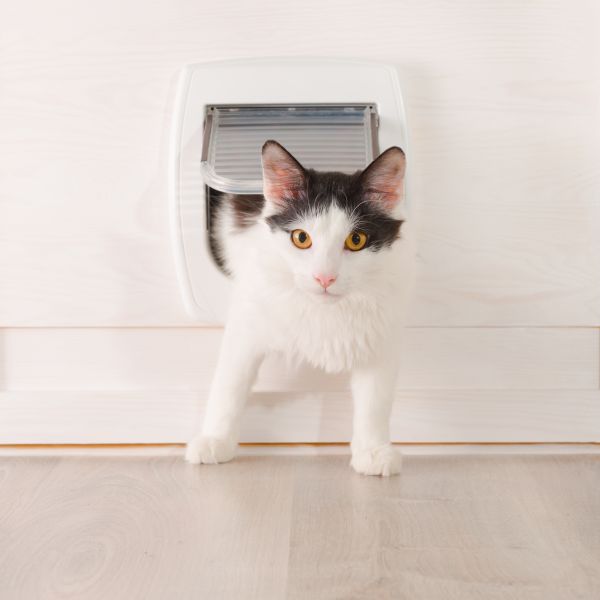 Cat Flap Installation