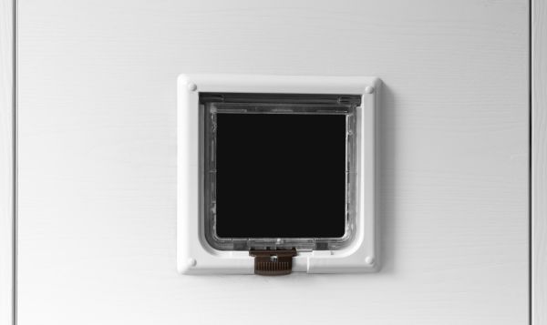 Cat Entrance Installation